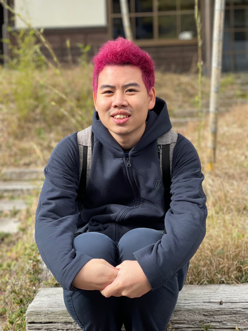 Developer